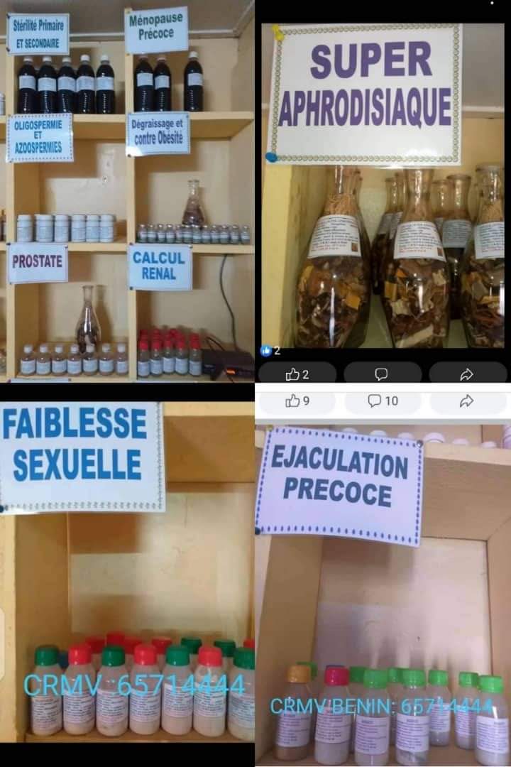 Oligospermie et azoospermie – Image 2